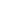 Digitalisierung der Verwaltung icons8 speed 100 1